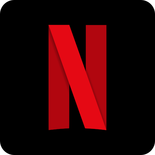 Netflix - WorkingEye Client Logo