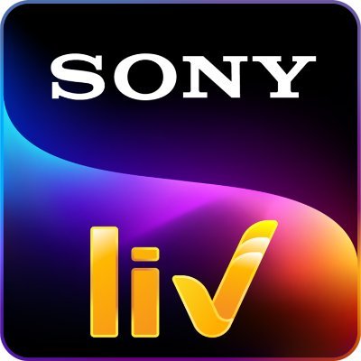 Sony - WorkingEye Client Logo